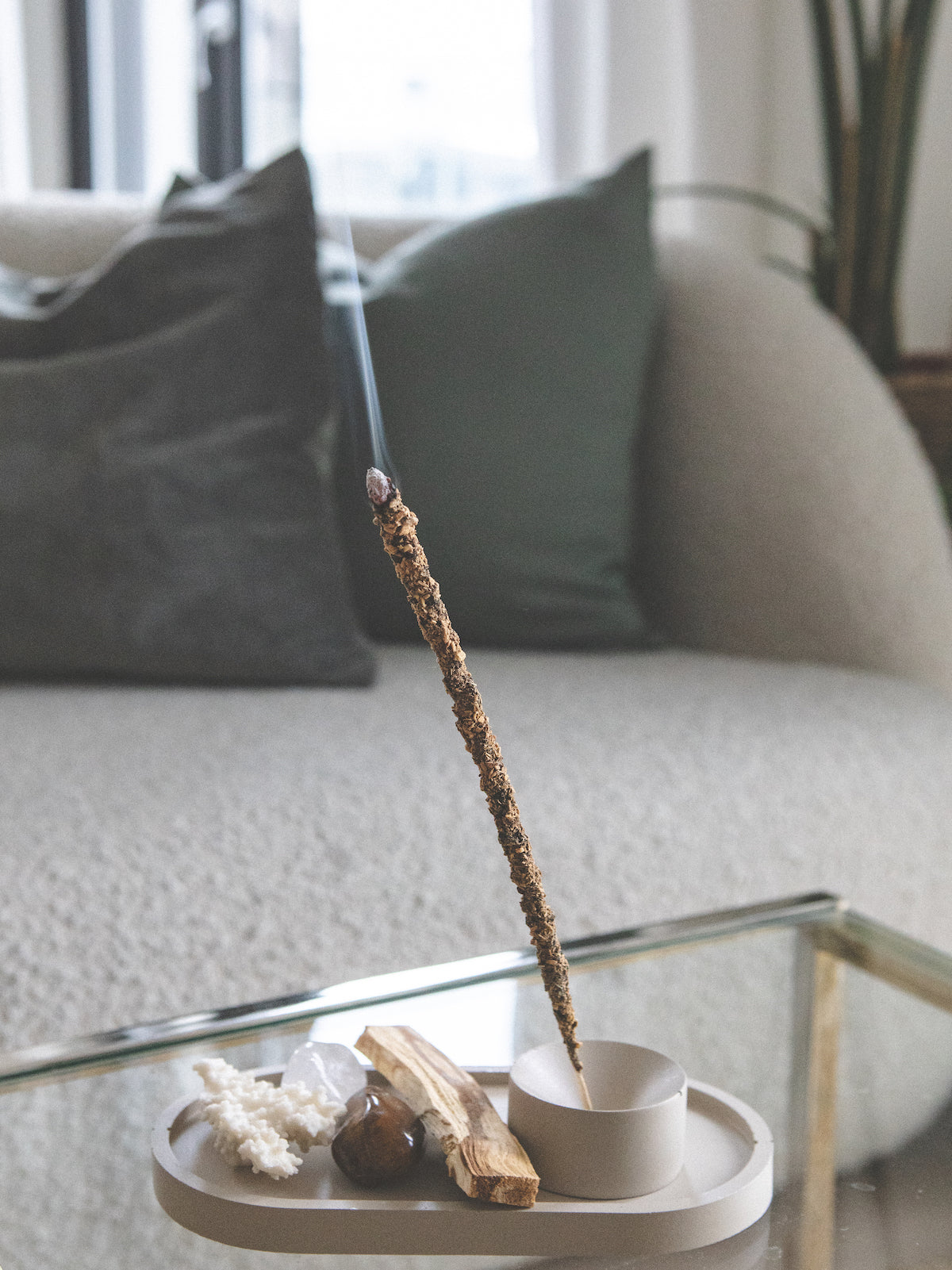Palo Santo & Jasmine incense sticks Sagrada Madre
